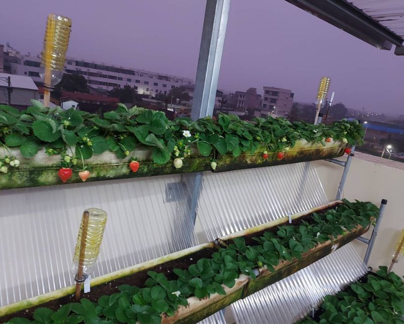 SIMPLE GREENHOUSE IN TAINAN CITY, TAIWAN